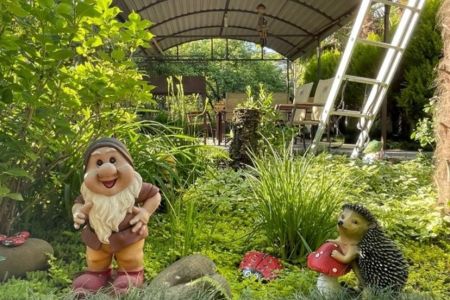 Территория