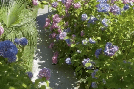 Территория