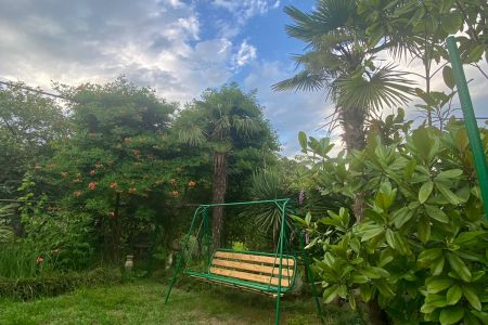 Территория