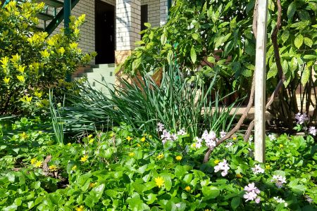 Территория