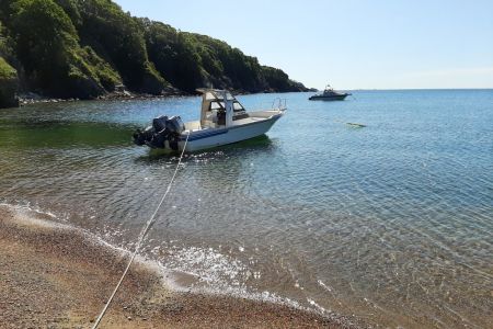 27 Регион Ливадия