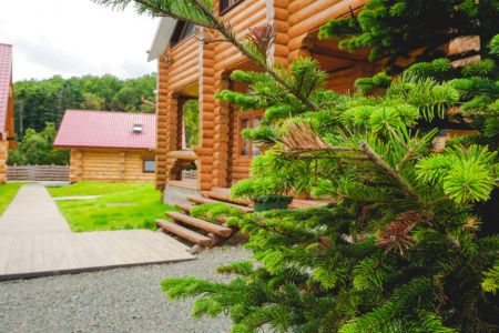 Медвежий ручей