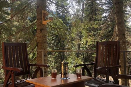 Дом 2-местный