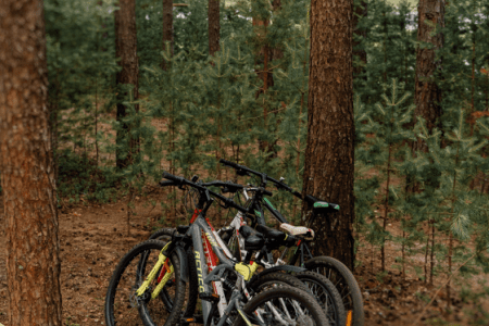 «Villy Uley» / «Вилли Улей Волга» глэмпинг