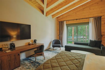 Стандарт Твин