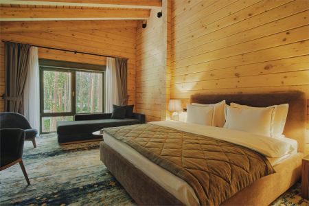 Стандарт Твин