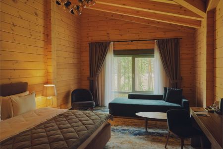 Стандарт Твин