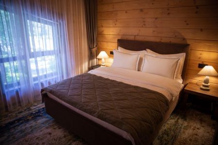 Стандарт Твин