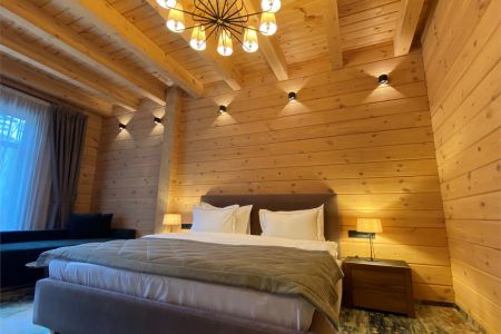 Стандарт Твин