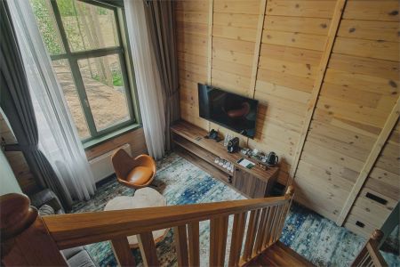 Стандарт Твин