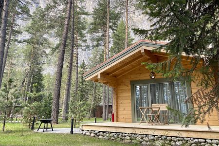 Внешний вид