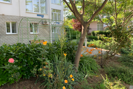 «Амалия» гостевой дом