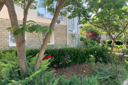 «Амалия» гостевой дом