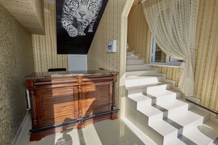 Внешний вид