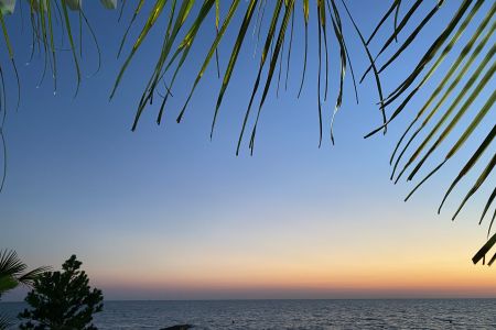 Внешний вид, территория