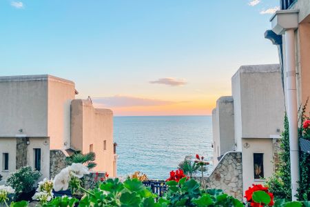 Внешний вид, территория