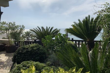 Внешний вид, территория