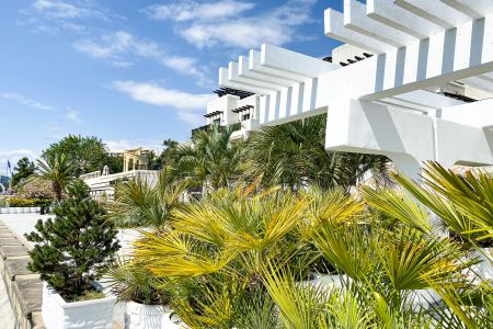 Внешний вид, территория