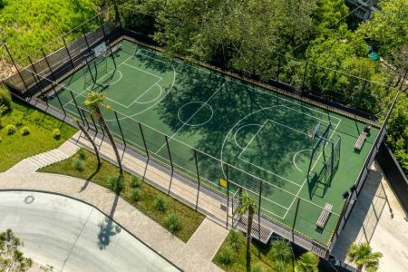 Внешний вид, территория