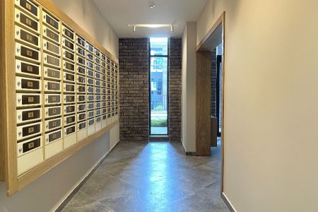 Внешний вид, территория