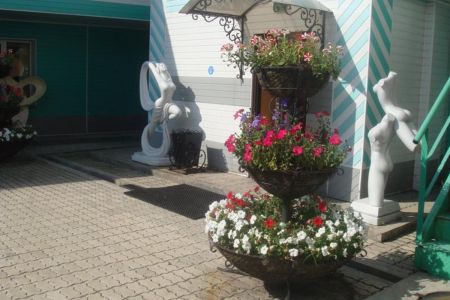 Внешний вид