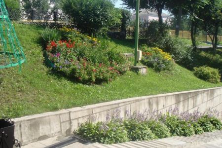 Внешний вид