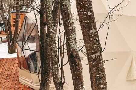 Люкс 4-местный «Свидание на крыше» (Геокупол)