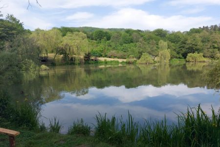 Коттедж 2-местный, общий вид