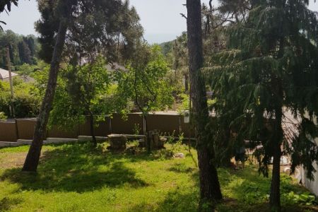 Коттедж 2-местный, территория