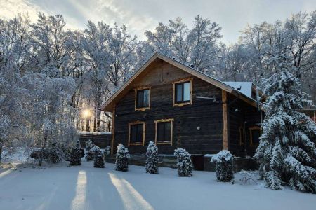 Дом в лесу 10-местный 6-комнатный