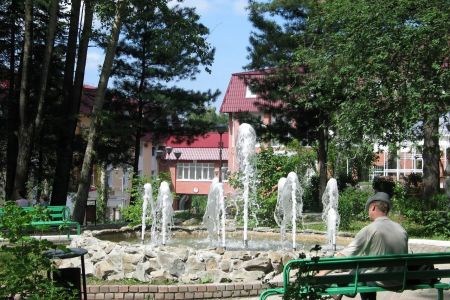 Внешний вид