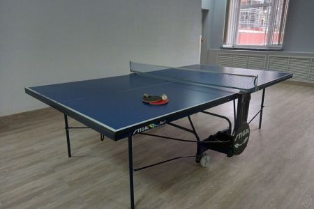 Настольный теннис