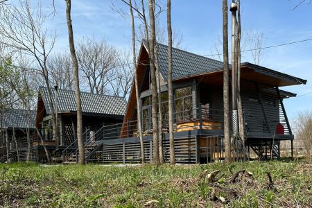 Заимка Узалы