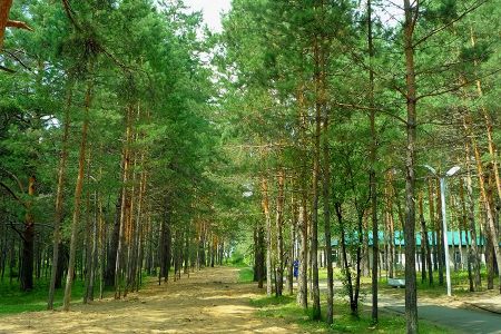 Внешний вид