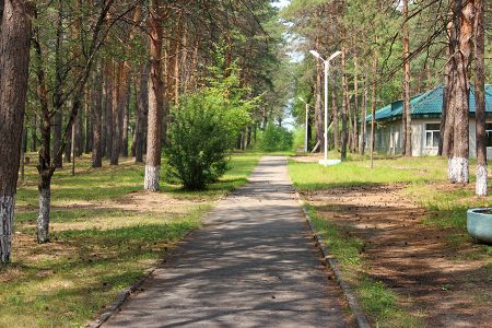 Внешний вид