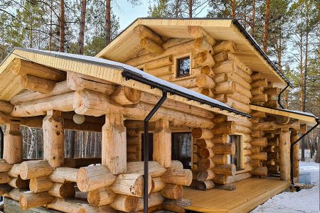 Внешний вид