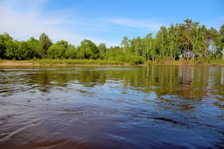 Внешний вид