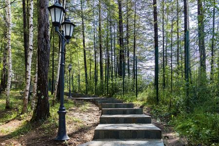 Внешний вид