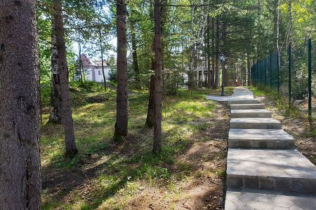 Внешний вид