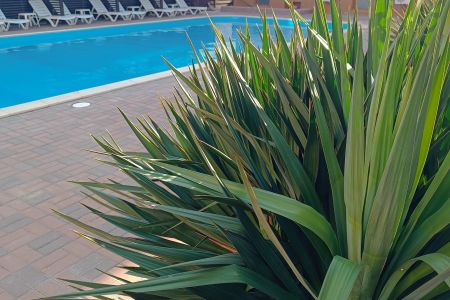 «Вилла Лайт» гостевой дом