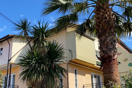 Прибрежный (Адлер)