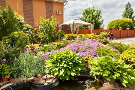 Территория