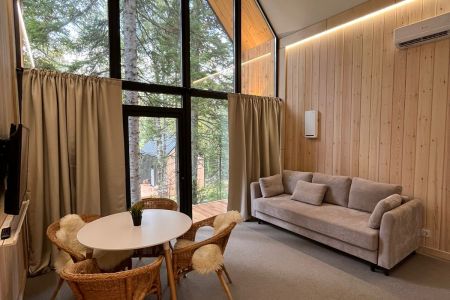 Барнхаус 2-комнатный