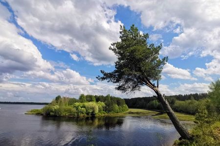 Территория