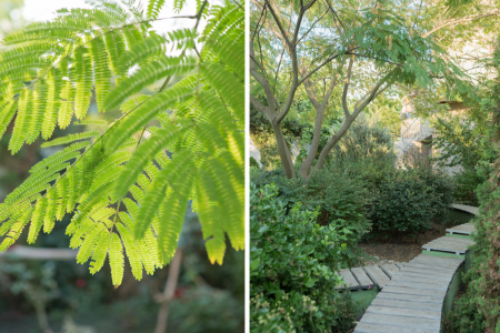 «У старого абрикоса» гостевой дом