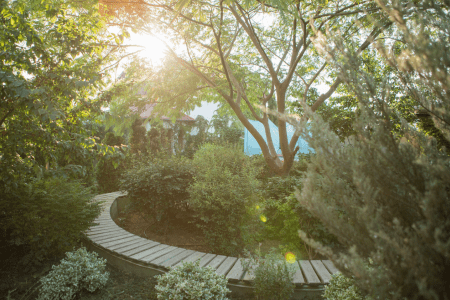 «У старого абрикоса» гостевой дом