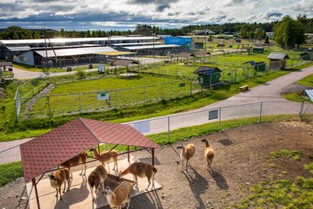 Карельский зоопарк