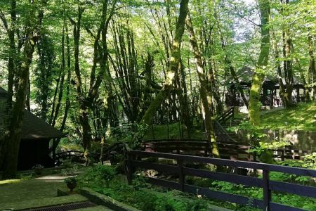 Территория