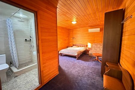 Стандартный Плюс 2-местный (DBL)