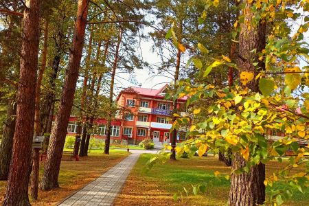 Внешний вид